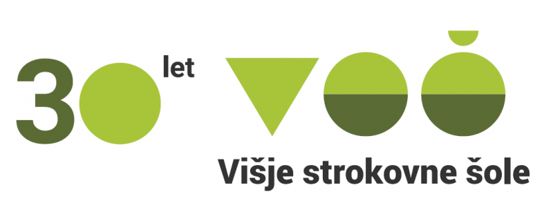 Logo 30 let